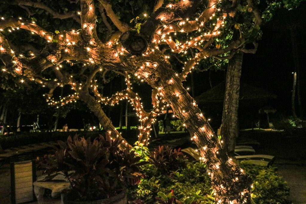 Holiday lights by Lynden Holiday Lights